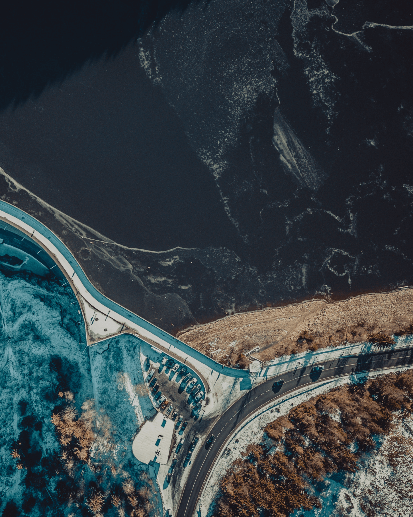 We bring venture capital innovation to corporates, investors, and governments, advancing sustainability and net-zero goals.